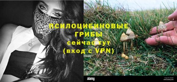 трава Покровск