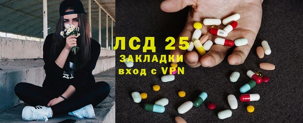 спайс Покачи