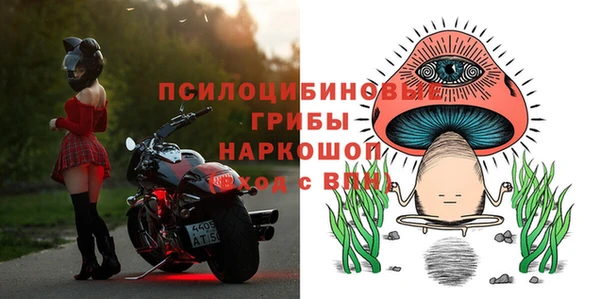 спайс Покачи