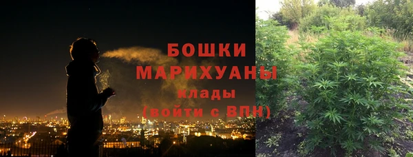 спайс Покачи