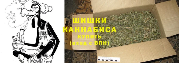 спайс Покачи