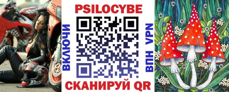 закладка  Бежецк  Галлюциногенные грибы Psilocybine cubensis 